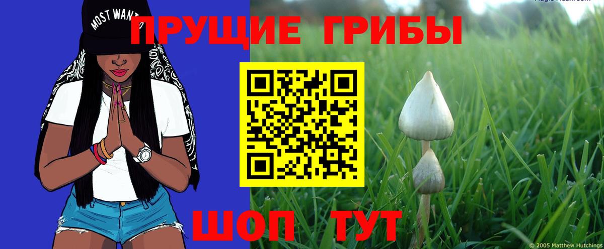 Галлюциногенные грибы MAGIC MUSHROOMS  Вход с VPN  Александров 